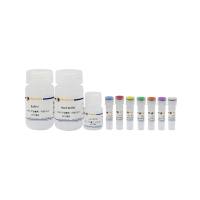 RNA-Protein Pull-Down Kit with Streptavidin Agarose