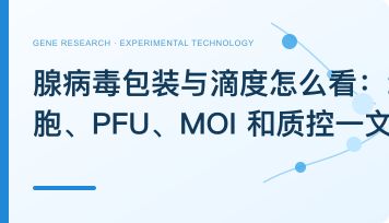 腺病毒包装与滴度怎么看：293 细胞、PFU、MOI 和质控一文读懂