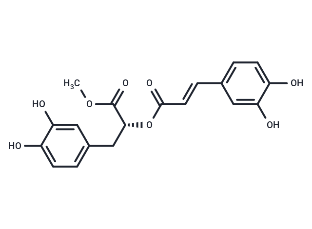 ■ 【TargetMol 明星分子】- Methyl rosmarinate: 多靶点协同调控酪氨酸酶与炎症通路的天然化合物
