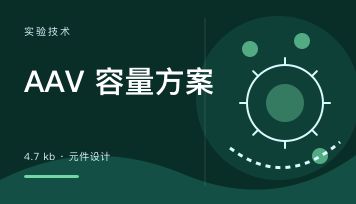 AAV 装载容量 4.7kb 超限怎么办？元件长度和五种扩容方案一篇讲清