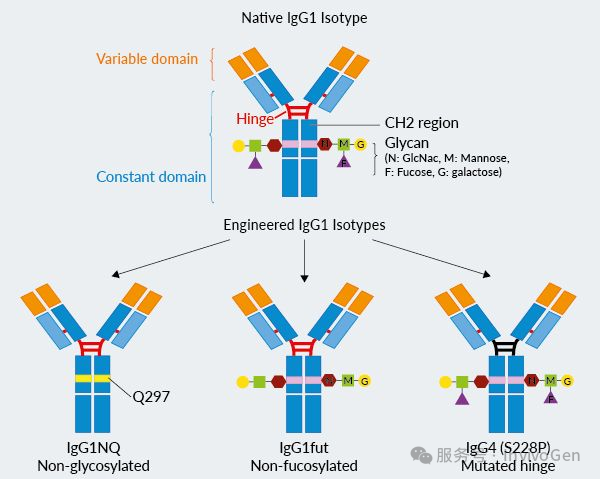 利妥昔单抗（Rituximab）生物类似药Anti-hCD20-hIgG1
