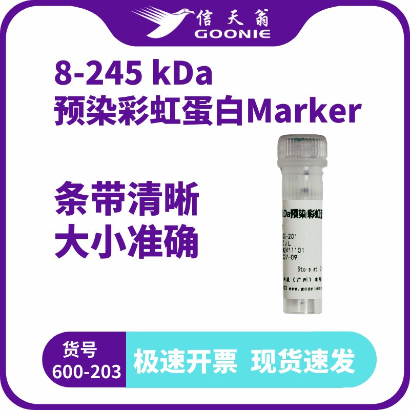 信天翁GOONIE 8-245 kDa预染蛋白Marker