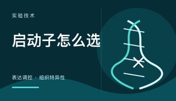 AAV 启动子怎么选？神经特异和广谱启动子一篇讲清