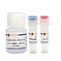 T4 RNA Ligase 2, truncated KQ