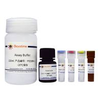 基质金属蛋白酶3 (MMP-3)活性荧光检测试剂盒