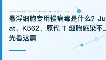 悬浮细胞专用慢病毒是什么？Jurkat、K562、原代 T 细胞感染不上先看这篇