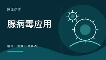 腺病毒的应用：疫苗、肿瘤、瞬时高表达蛋白与难转染细胞怎么用