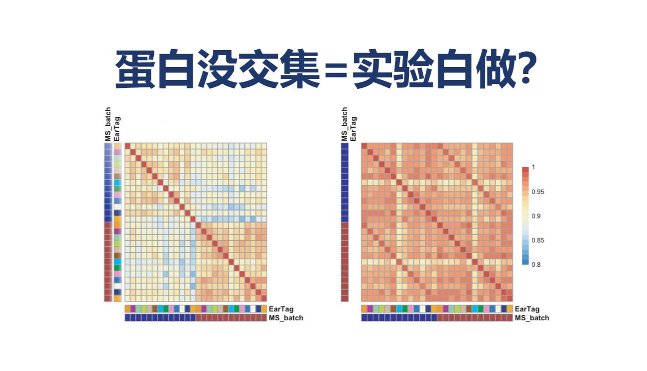 【药物靶点筛选】疾病差异蛋白vs. 药物调控蛋白没交集，实验是不是就白做了？