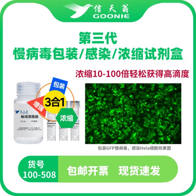信天翁GOONIE 第三代慢病毒包装感染浓缩试剂盒