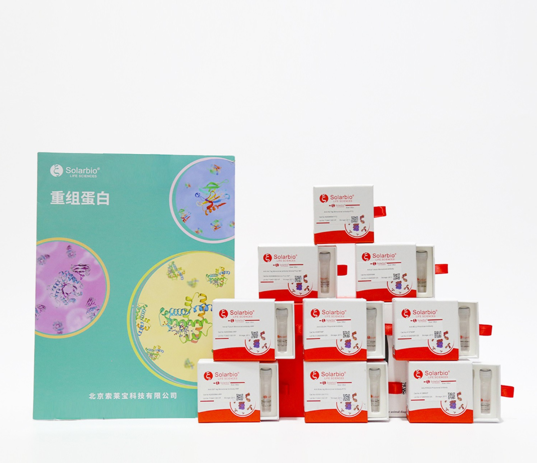Recombinant human IL-2 Protein (C-His)