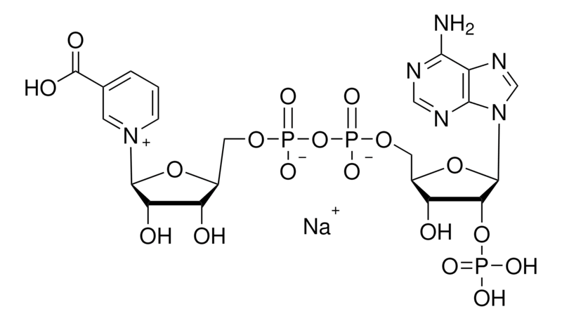 烟酸腺嘌呤二核苷酸磷酸 钠盐 ≥92.5%
