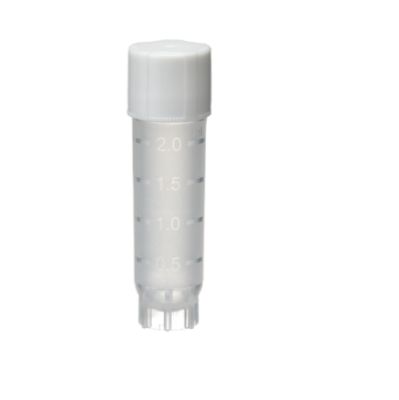 SLC1A1基因敲除细胞株产品图