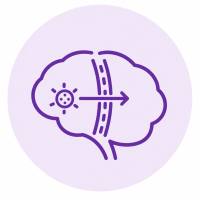 血脑屏障（BBB）研究解决方案