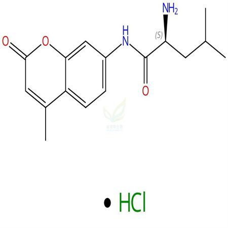 L-亮氨酰7-氨基-4-甲基香豆素盐酸盐 62480-44-8