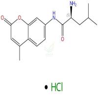 L-亮氨酰7-氨基-4-甲基香豆素盐酸盐 62480-44-8