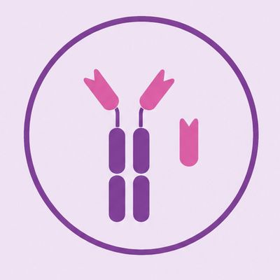 HUGO-Nano chVHH驼化人源纳米抗体平台