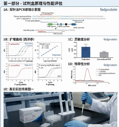 市场口碑好的西洋参探针法PCR鉴定试剂盒（不含内参）公司哪个好