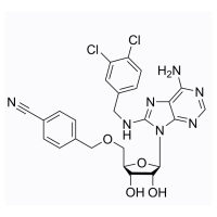 VER-155008,Hsp70抑制剂,1134156-31-2,≥98%(HPLC),阿拉丁