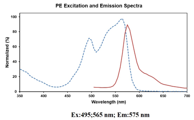 Elabscience推出的PE 大鼠IgG2a, κ 同型对照[2A3]：有效区分特异性抗体染色与非特异性背景信号