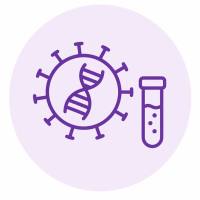 小核酸药物研发平台