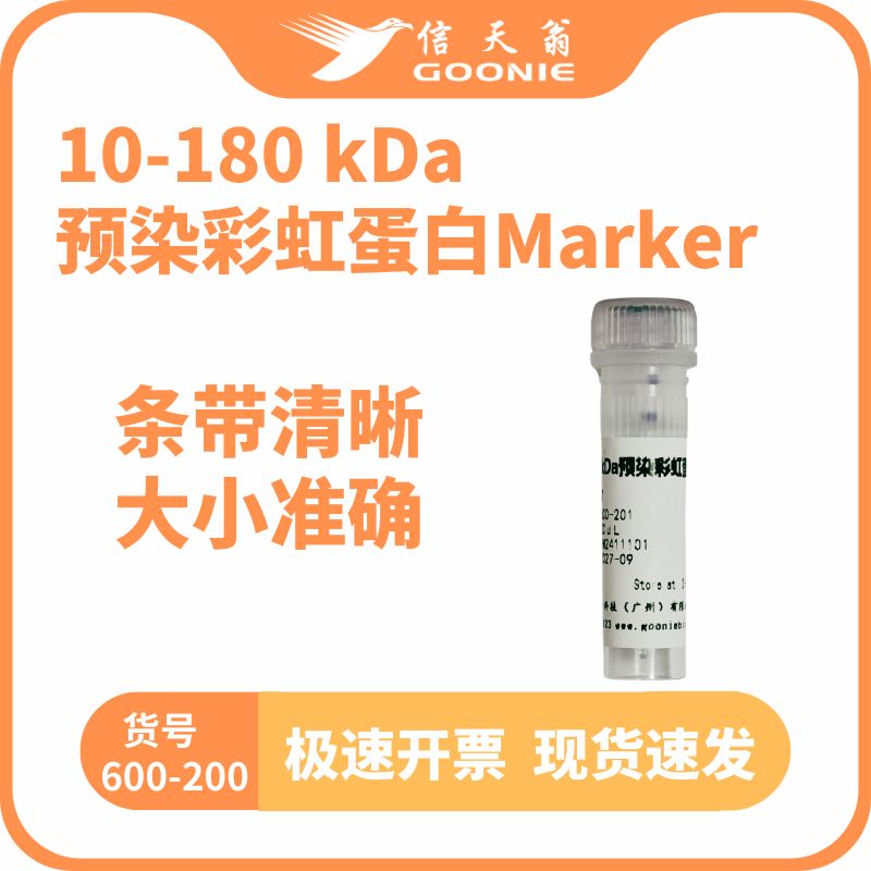 信天翁GOONIE 10-180 kDa预染彩虹蛋白Marker