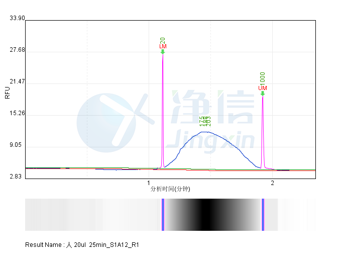 新闻图片4