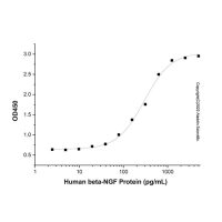 Recombinant Human beta-NGF Protein,无动物源,无载体,生物活性,ActiBioPure™,高性能,PBS Only,≥90%(SDS-PAGE&SEC-HPLC),阿拉丁