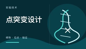 点突变 蛋白修饰 载体设计怎么做？磷酸化/乙酰化/乳酸化对照表收好