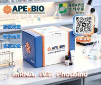 EGFP saRNA (5mCTP) 科研实验级试剂 R3001 CAS:/