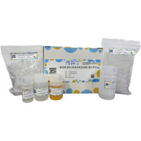 通用型DNA纯化回收试剂盒(离心柱法),BioReagent,阿拉丁