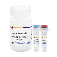 Lipo666™高效蛋白转染试剂盒