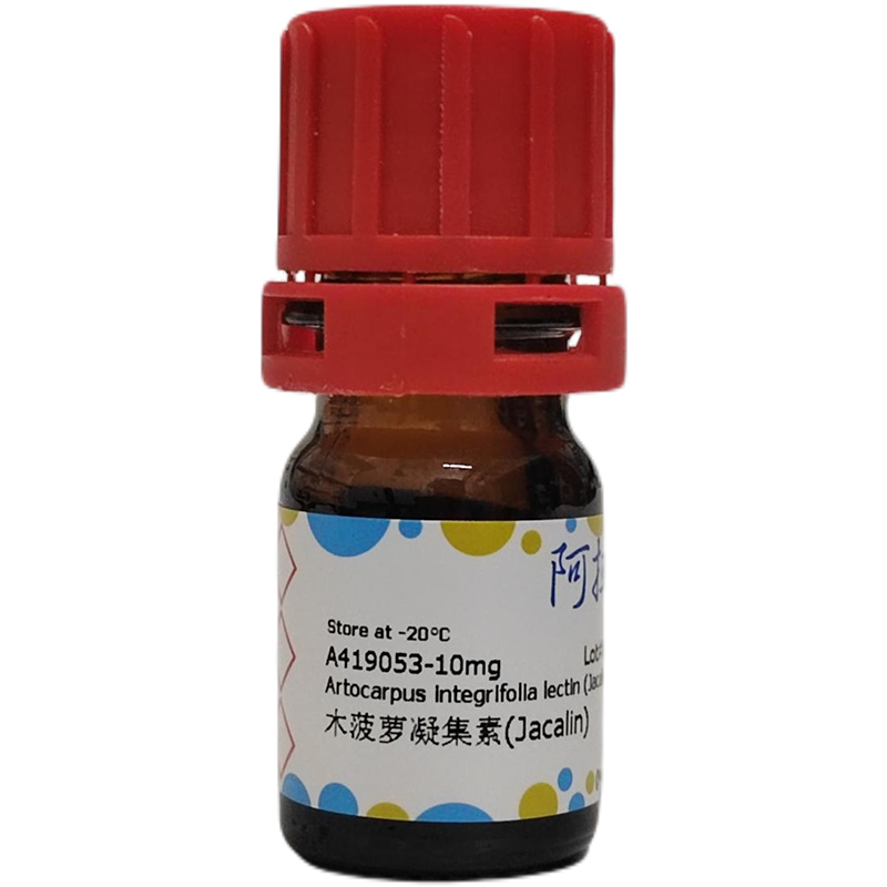 木菠萝凝集素(Jacalin)，阿拉丁产品图