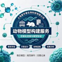 动物模型构建