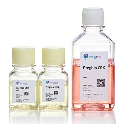 尿源体细胞化学重编程系统试剂盒(StemCRKTM)