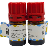 共脂肪酶 来源于猪胰腺，55126-92-6，ActiBioPure™, 生物活性, 高性能, EnzymoPure™, ≥4000 U/mg powder; ≥4210 U/mg protein，阿拉丁