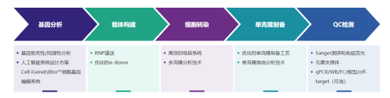 产品细节图片1