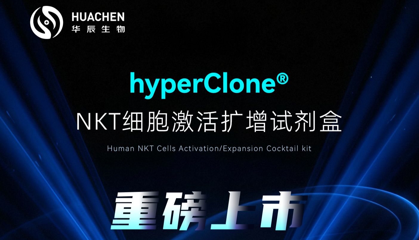NKT细胞为何难以获取？华辰生物带来标准化扩增方案