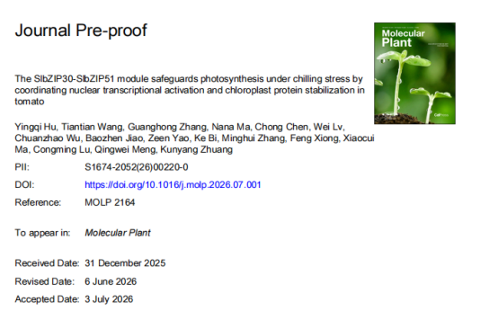 Mol Plant (IF 32.7) |康测科技ChIP-seq助力揭示SlbZIP30-SlbZIP51模块低温稳定光合作用的双重机制
