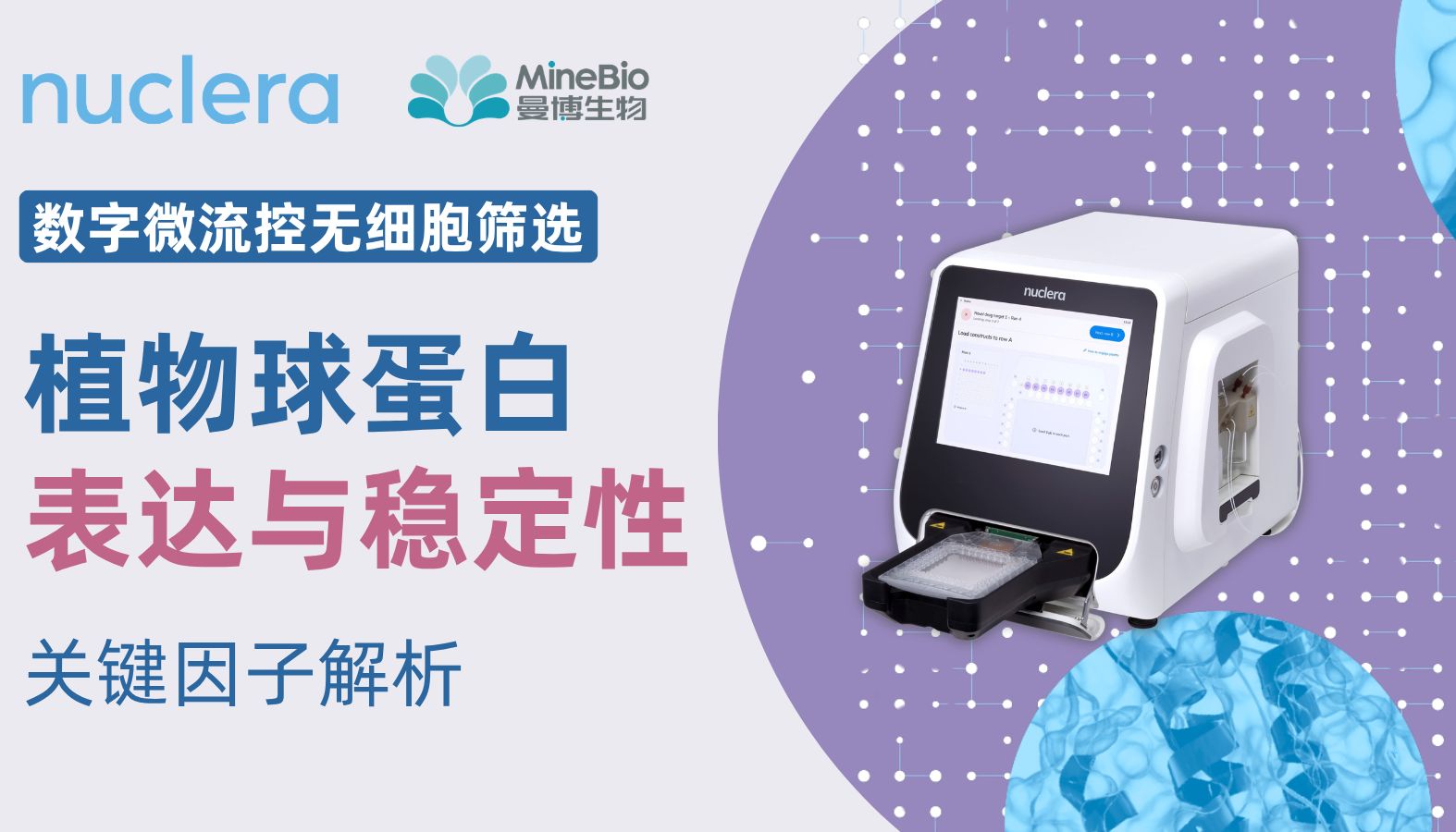 数字微流控无细胞筛选：植物球蛋白表达与稳定性关键因子解析