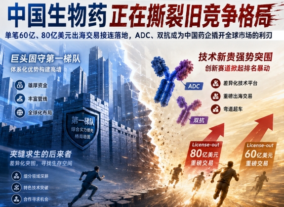 新闻图片1