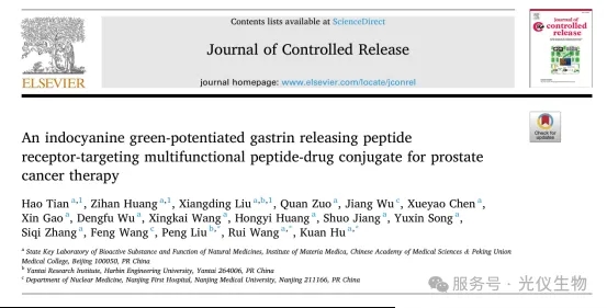吲哚菁绿增强的胃泌素释放肽受体靶向多功能肽-药物偶联物在前列腺癌治疗中的应用
