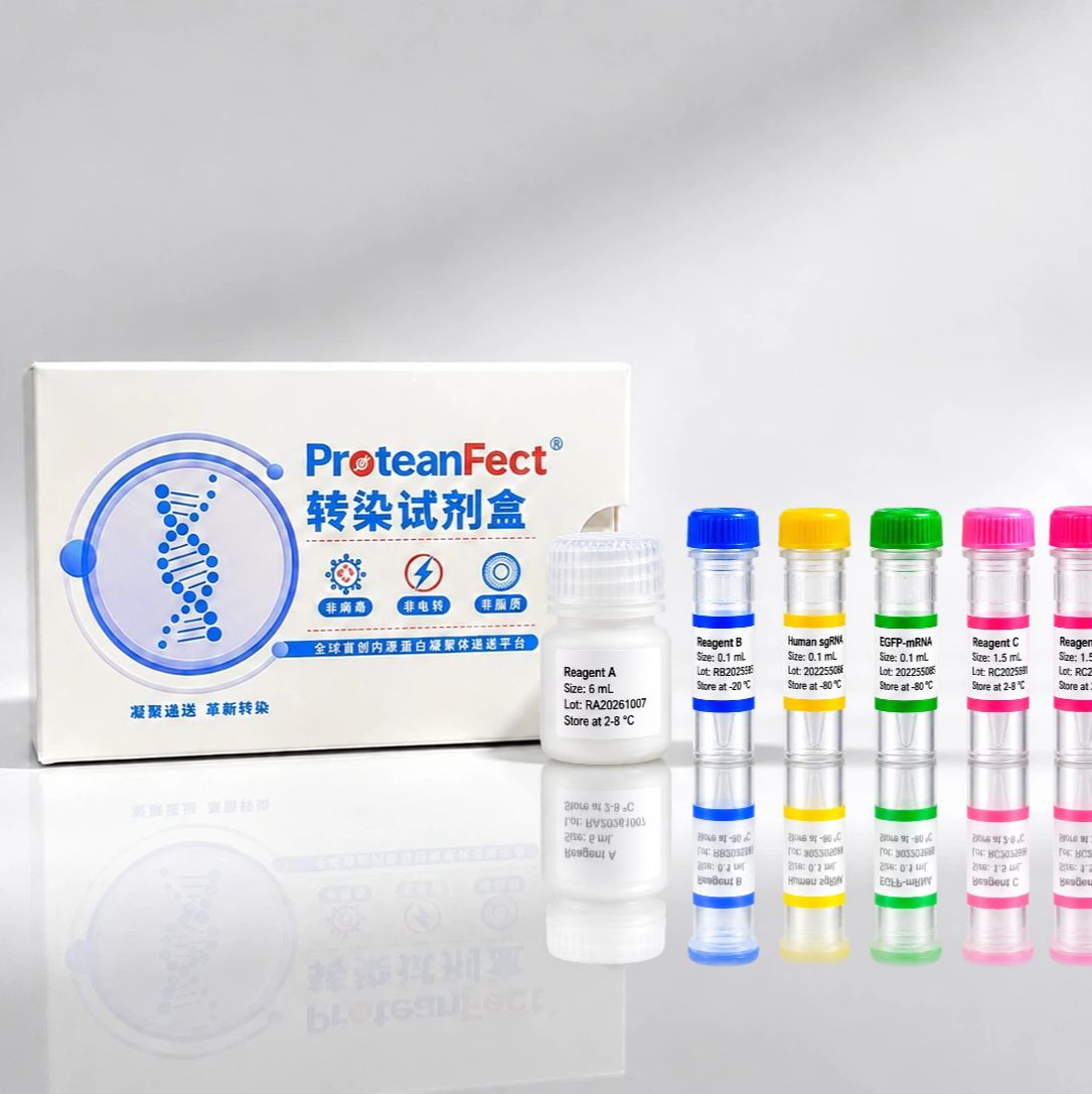 ProteanFect® CRISPRMax Ultra转染试剂盒