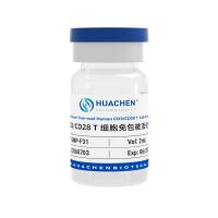 CD3/CD28 T 细胞免包被活化剂