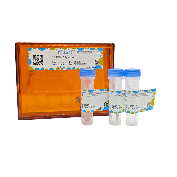 T7 RNA聚合酶,9014-24-8,BioReagent,通过内毒素测试,分子生物学级,EnzymoPure™,无RNA酶,重组,≥98.0%,50 U/μL,阿拉丁产品图