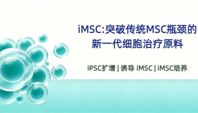 iMSC：突破传统MSC瓶颈的新一代细胞治疗原料