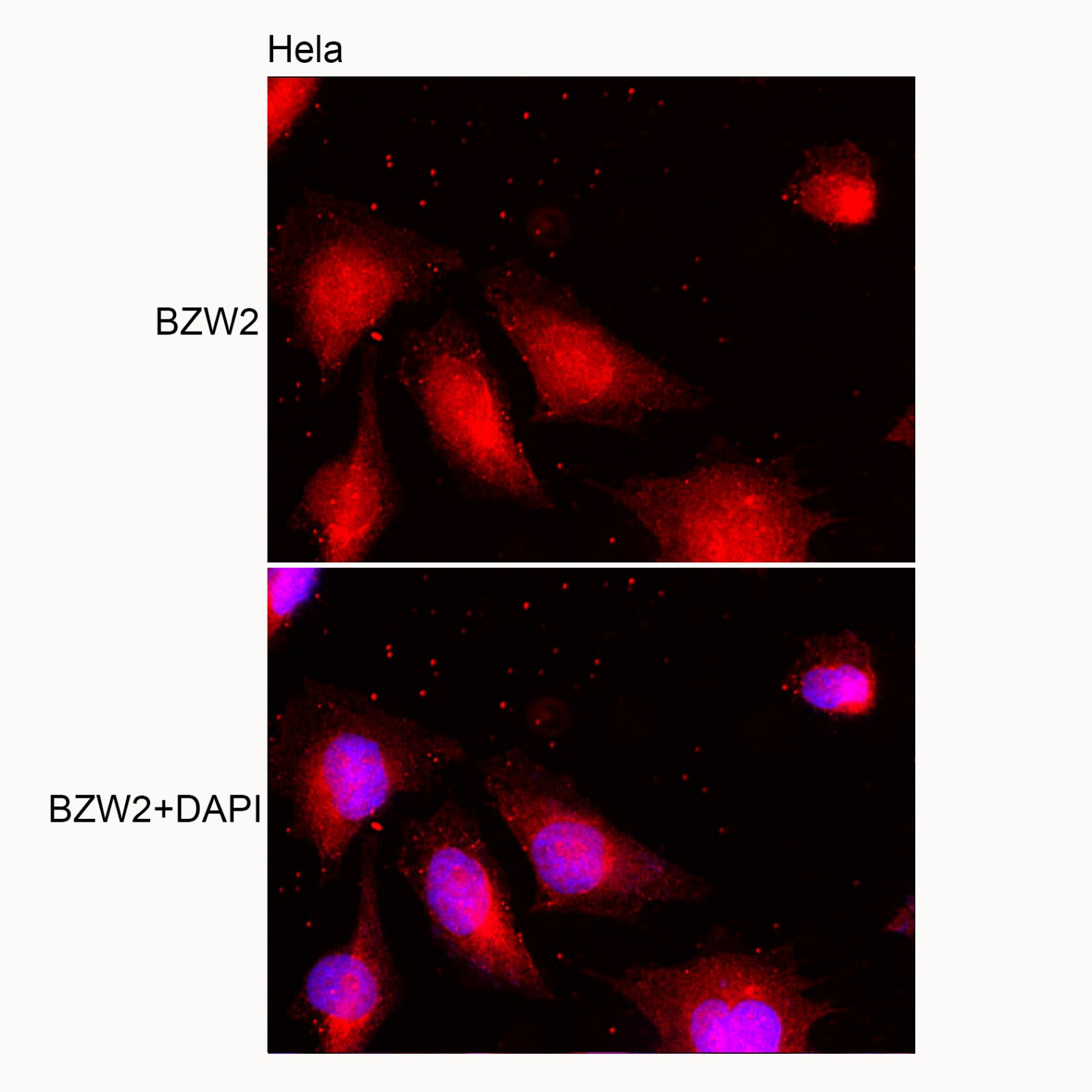 产品细节图片2