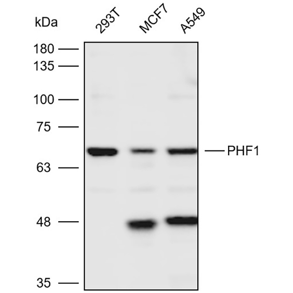 产品细节图片1
