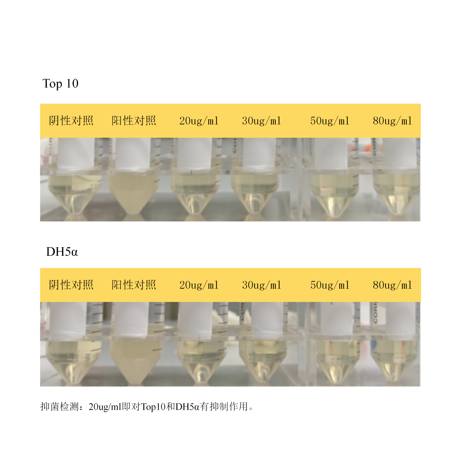 产品细节图片1