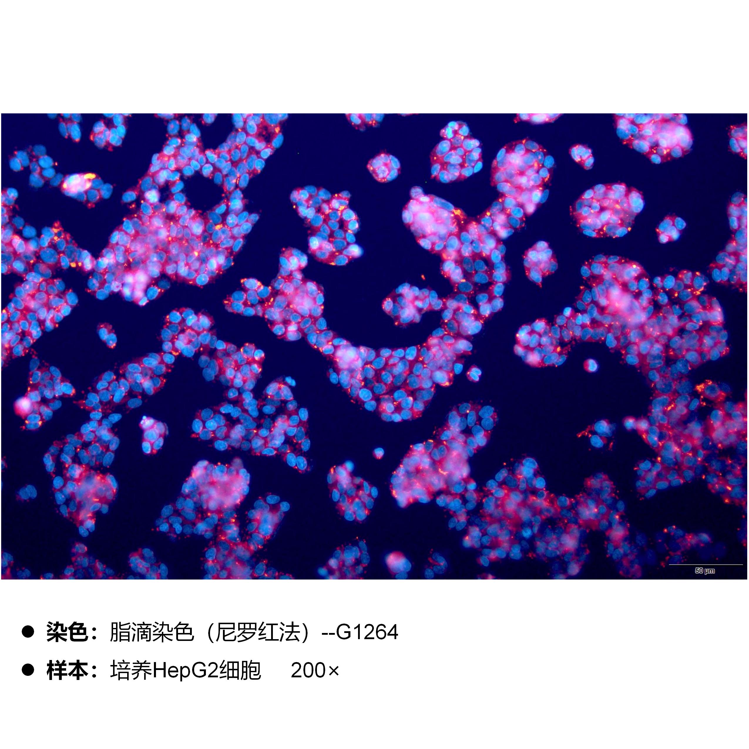 产品细节图片2
