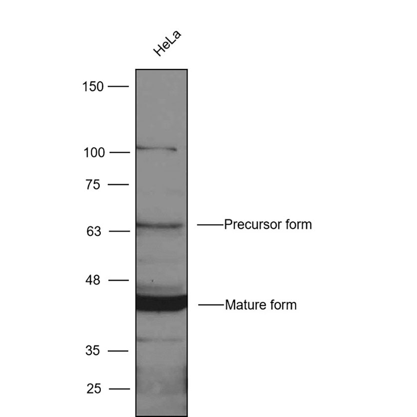 产品细节图片2